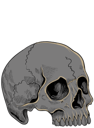 Description of first image